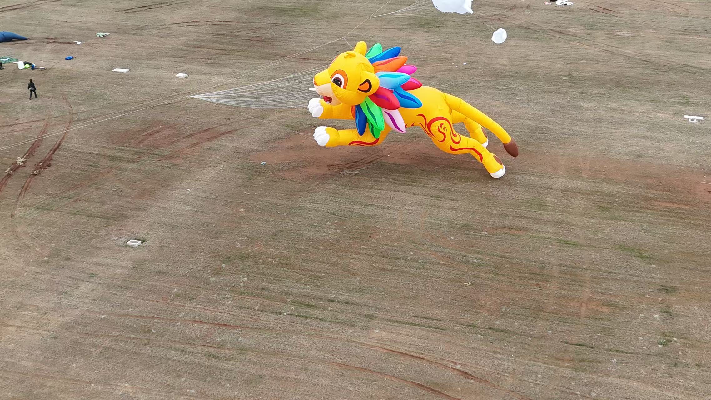 雅安市品牌风筝定制宣传风筝定制 - 厂家