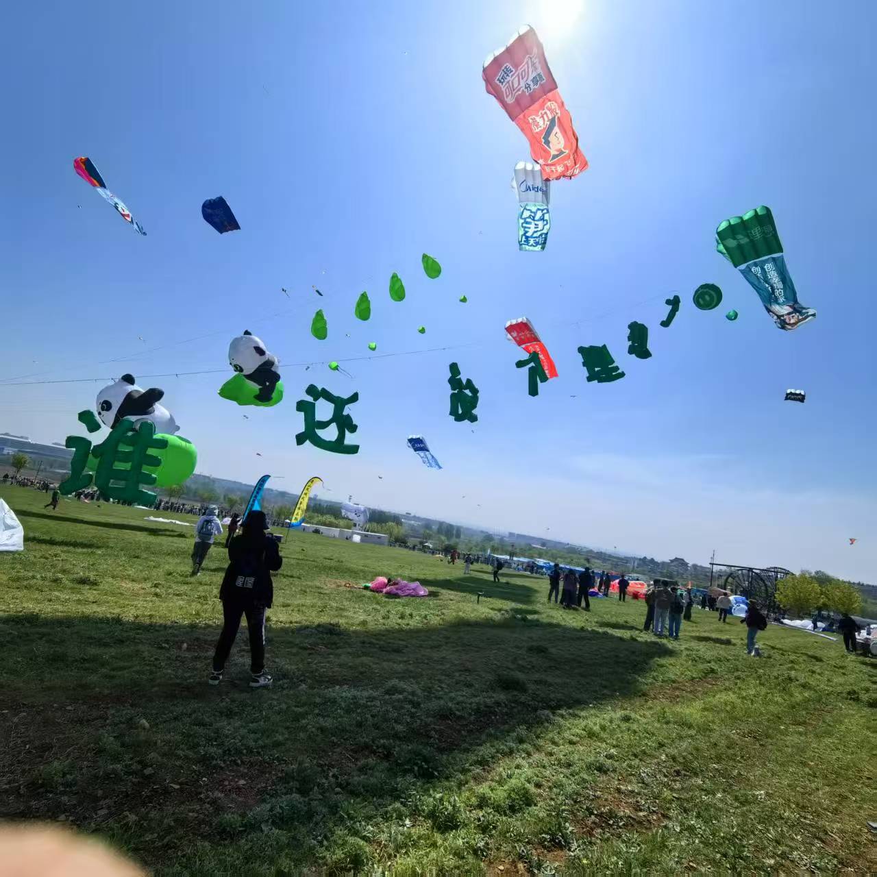 雅安市风筝商业放飞风筝定制 - 哪里好